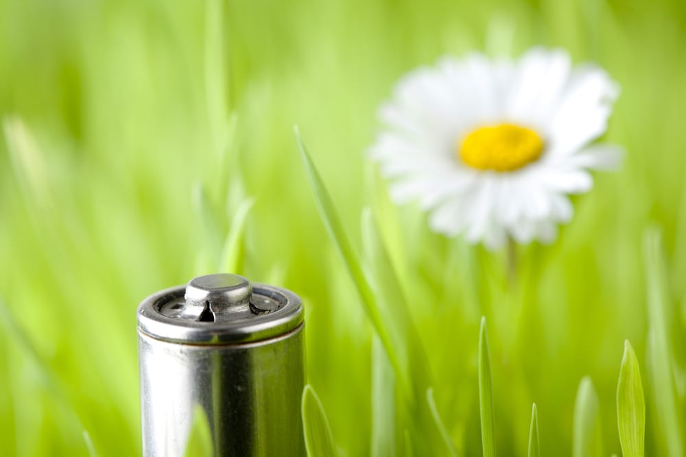 daisy in grass background and a battery